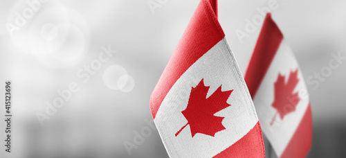 Small national flags of the Canada on a light blurry background