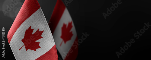 Картината върху платно Small national flags of the Canada on a dark background
