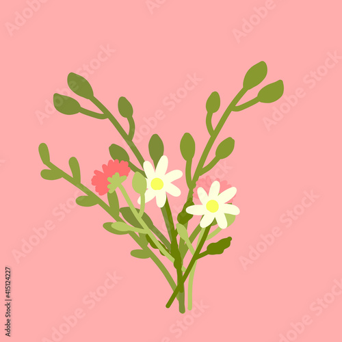 A bouquet of flowers on a pink background. 
