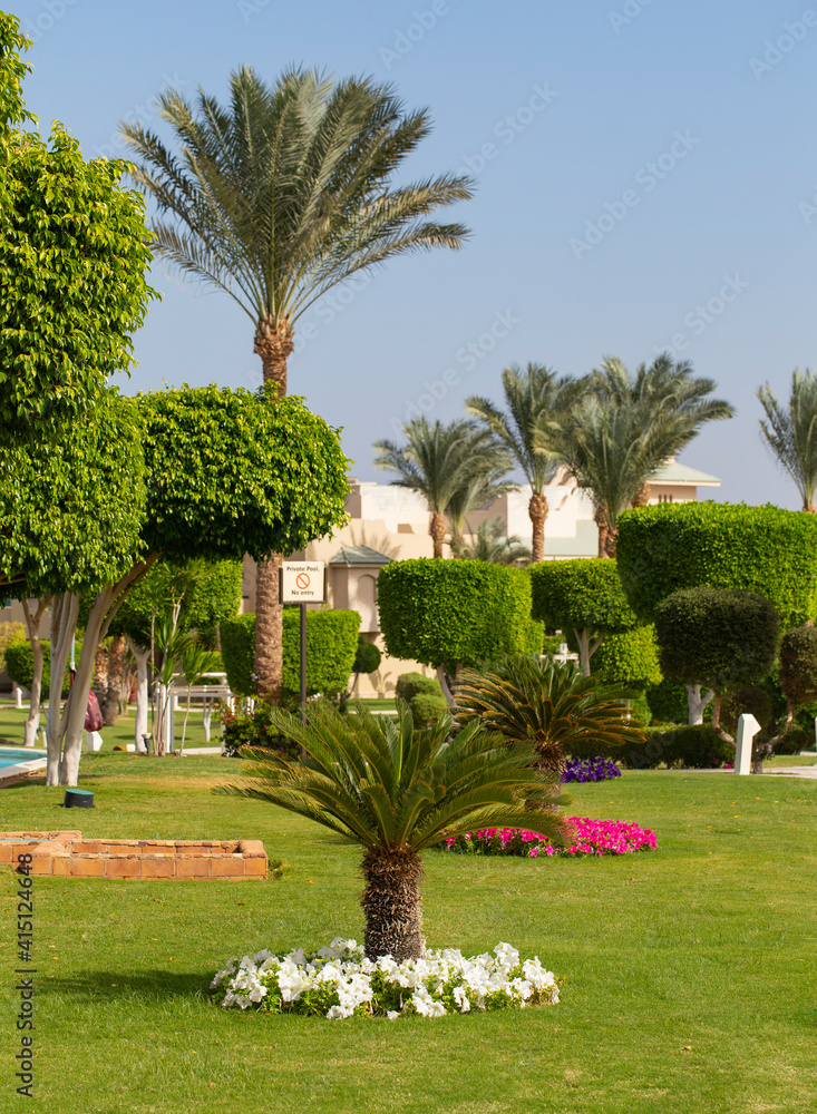 Park recreation areas of Egypt. Garden and landscape design.