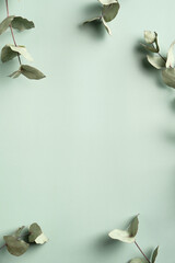 Frame made of eucalyptus leaves on green background. Vertical banner mockup for social media stories.