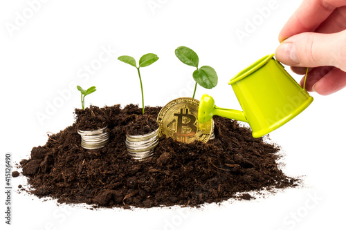 Сoins and bitcoin  in the soil with a young plant. The concept of money growth.