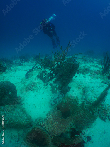  scuba divers , coral reef , caribbean sea Aruba 