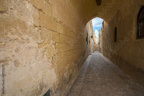 The streets of Mdina Malta © vasildakov