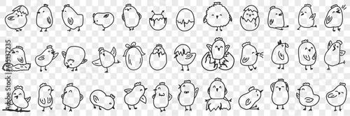 Small chicks on farm doodle set. Collection of hand drawn cute funny positive chicks eating hatching out of egg shell living in farmlands for children books isolated on transparent background