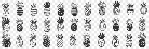 Tropical pineapple fruits doodle set. Collection of hand drawn fresh ripe exotic fries pineapples tasty delicious sweet for diet clean eating weight loss food isolated on transparent background