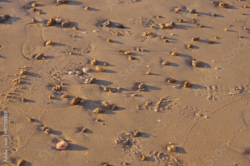 Vista parcial de la playa durante la bajamar cerca de Conil de la Frontera en la provincia de Cádiz (Andalucía) con cantos rodados salpicados y algunas conchas.