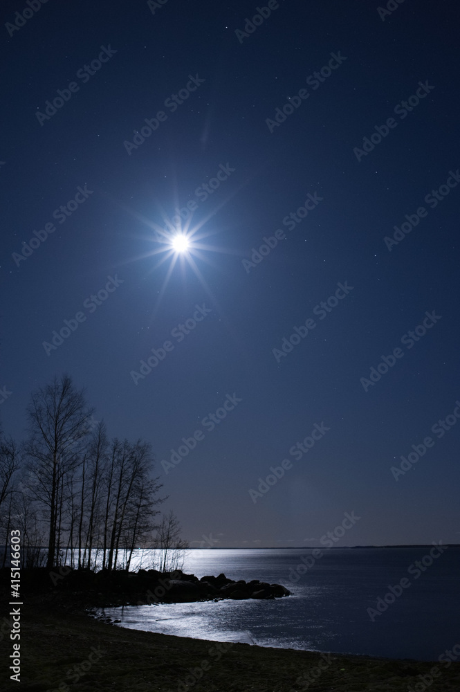 Night landscape under starry sky Night landscape under starry sky