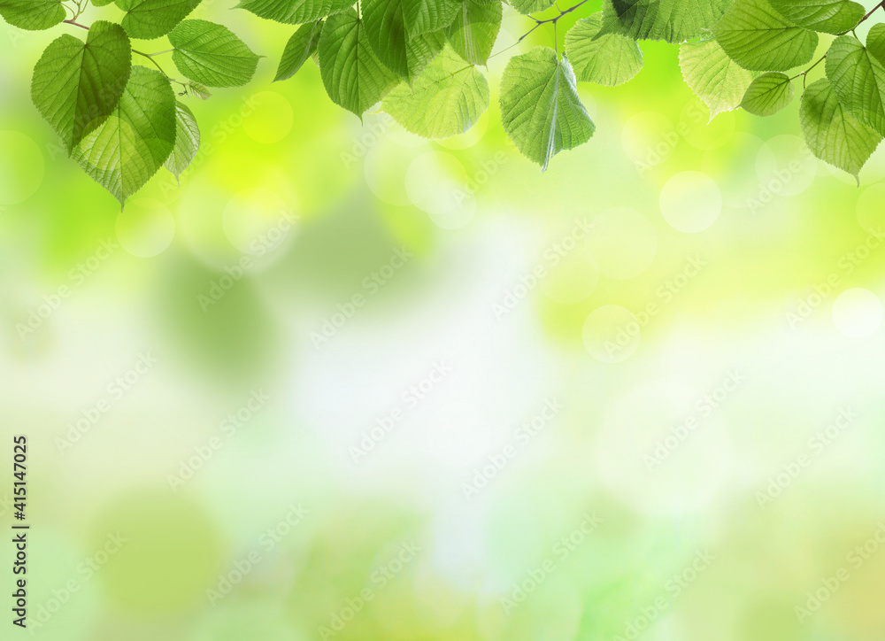 Beautiful green leaves on blurred background, space for text. Spring season Beautiful green leaves on blurred background, space for text. Spring season