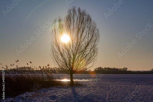 sunset in the winter fields