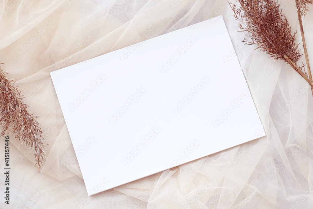 pastel tones blank a4 paper template, picture mockup pastel tones blank a4 paper template, picture mockup