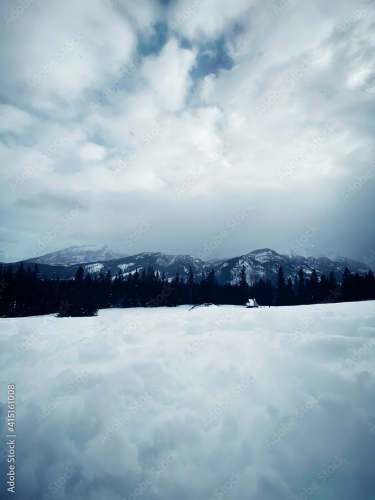 Obraz premium Widok na góry Tatry.