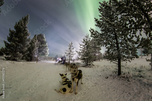 North Norway - Northern Lights - Aurora Borealis photo