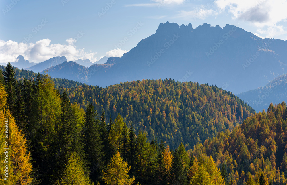 Mountain forest in Val di San Pellegrino in in the dolomites of Trentino, Italy.