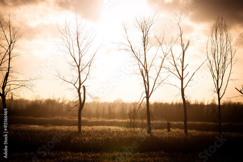 sunrise in the field