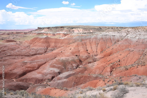 Petrified Forest National Park in Arizona  USA
