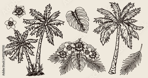 Tropical hawaiian vintage composition