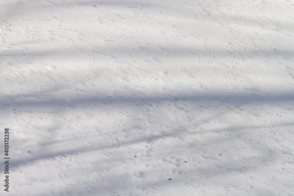 Many tracks of small birds in the snow in winter, seeds in the snow Many tracks of small birds in the snow in winter, seeds in the snow