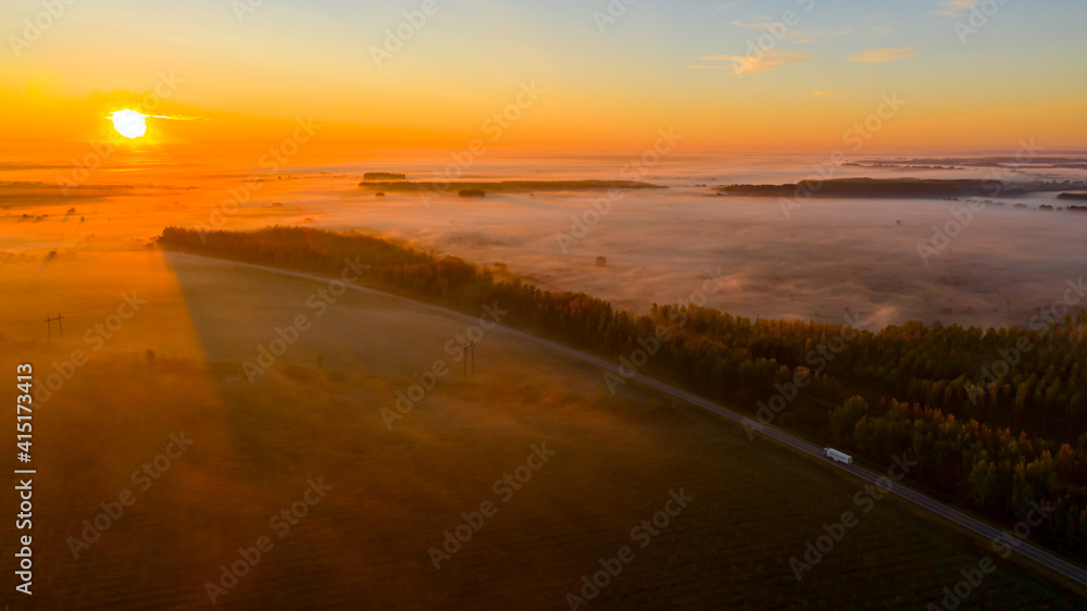 Aerial view early morning mist floating over ground vegetation and traffic among forest trees Aerial view early morning mist floating over ground vegetation and traffic among forest trees