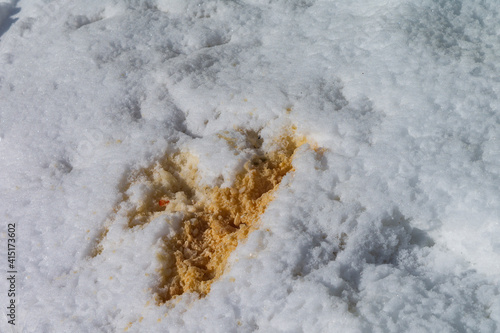 Vomit on the snow © vectorass