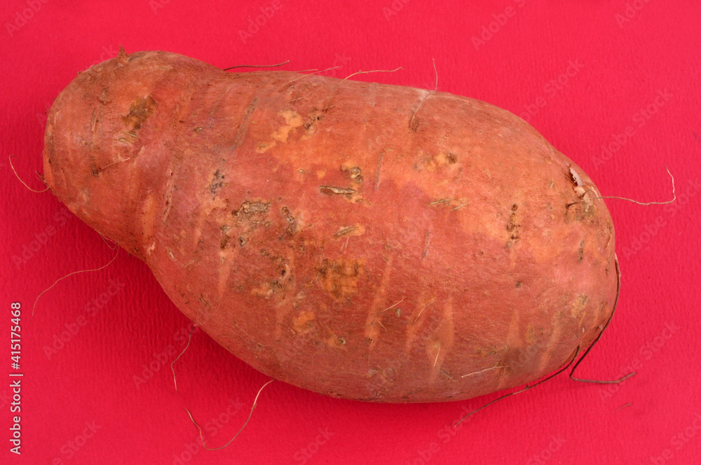 Patate douce crue en gros plan sur fond rouge