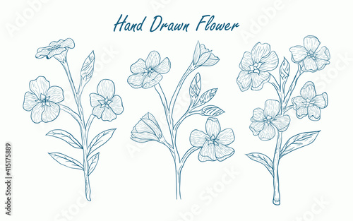 hand drawn flowers Illustration