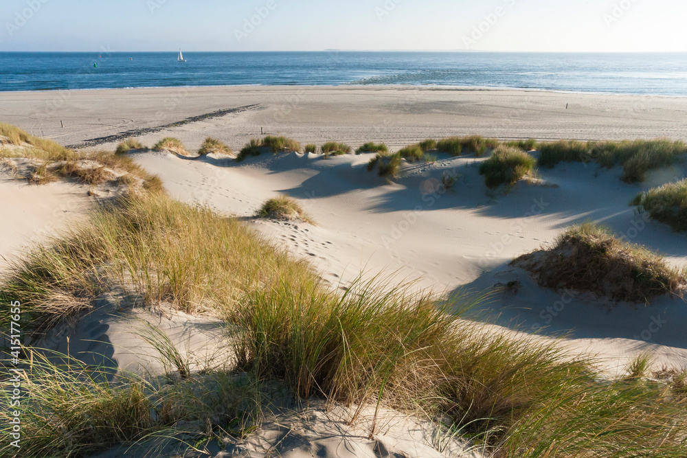 Waddenzee, Wadden Sea