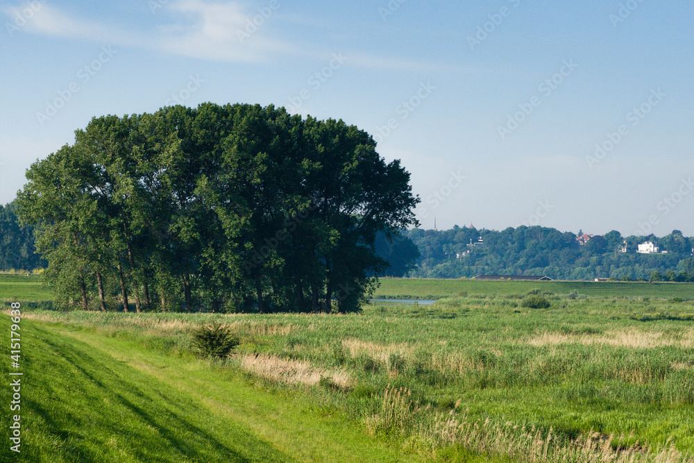 Landscape at Ooijpolder Landscape at Ooijpolder
