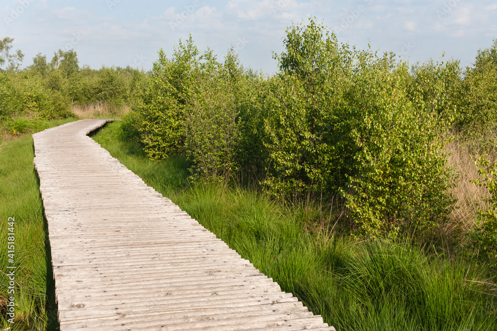 Nationaal Park De Groote Peel, National Park Groote Peel