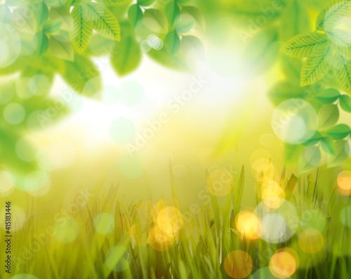Beautiful landscape with sunlight and flare and bokeh with blur in background and fresh leaves in park.