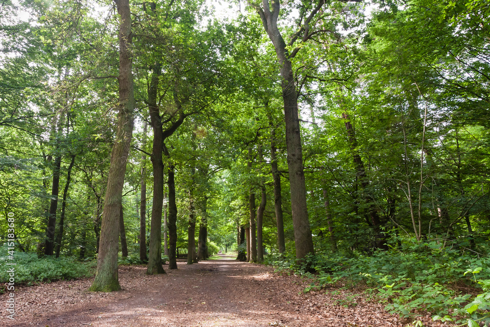 Oisterwijkse Bossen en Vennen, Oisterwijk Forests and Fens Oisterwijkse Bossen en Vennen, Oisterwijk Forests and Fens