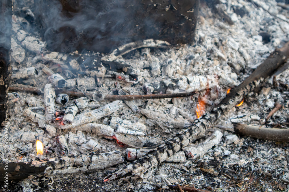 Obraz premium Burning wood