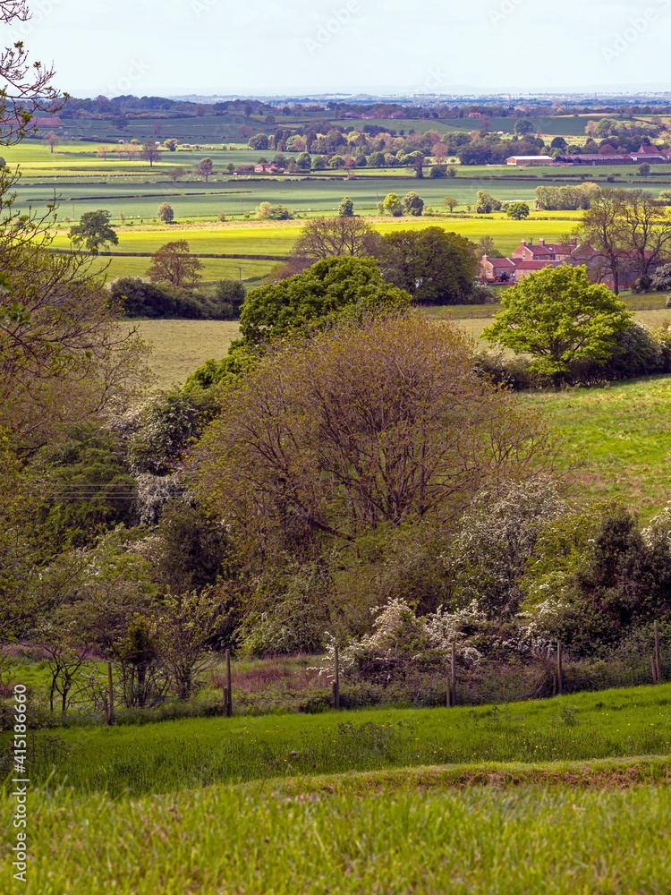 Beautiful view over trees and fields from Terrington in the Howardian Hills, North Yorkshire, England Beautiful view over trees and fields from Terrington in the Howardian Hills, North Yorkshire, England