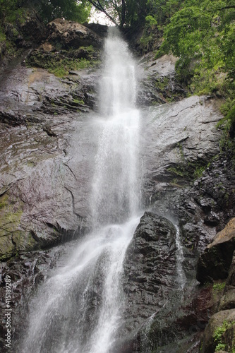 waterfall in the forest