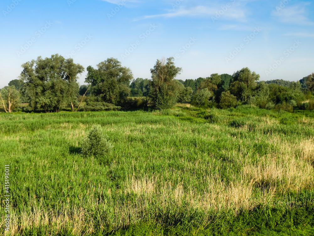 Landscape at Ooijpolder