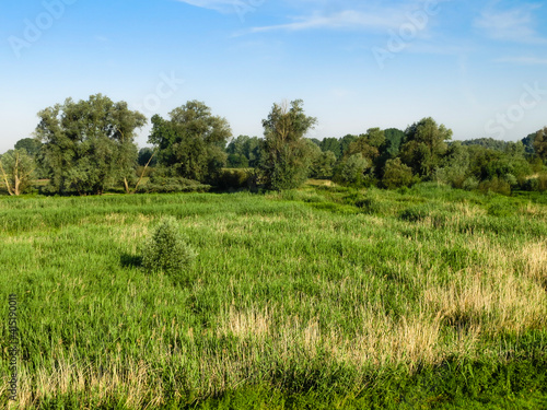Landscape at Ooijpolder