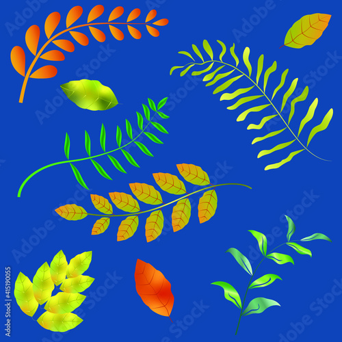 Summer  spring leaves set  decorative beauty  illustration for design  vector collection with colorful  leaves    graphic design 