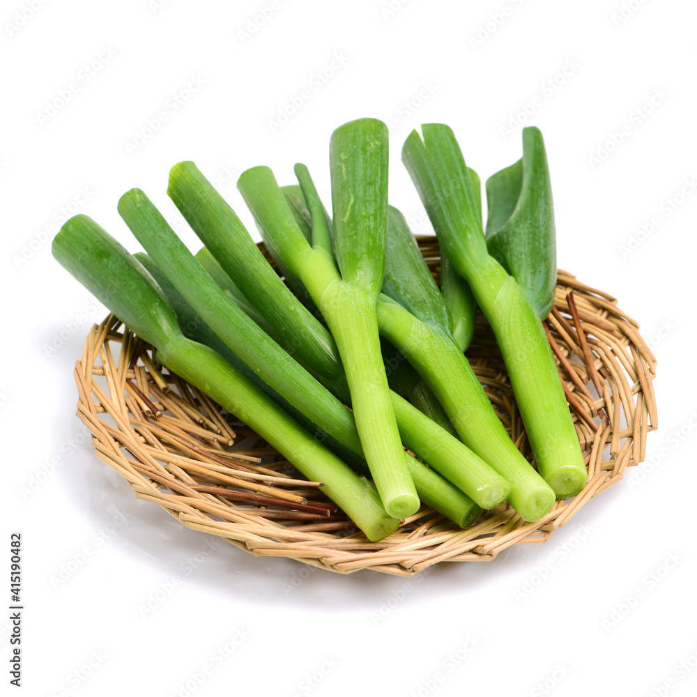 Green Onions on White Background Green Onions on White Background