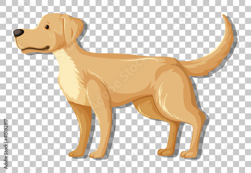 Yellow Labrador Retriever in standing position cartoon character isolated on transparent background