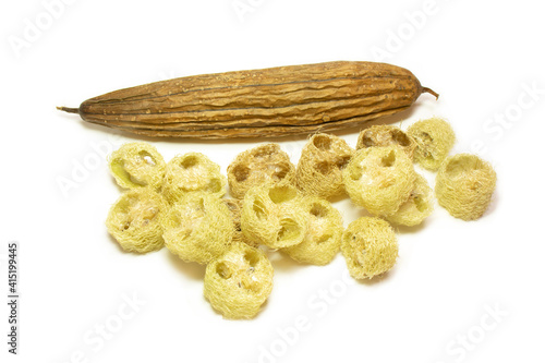 Dry Loofah Sponge Gourd. Medicinal plant and healthy food. Zero waste, plastic free, eco-friendly concept. photo