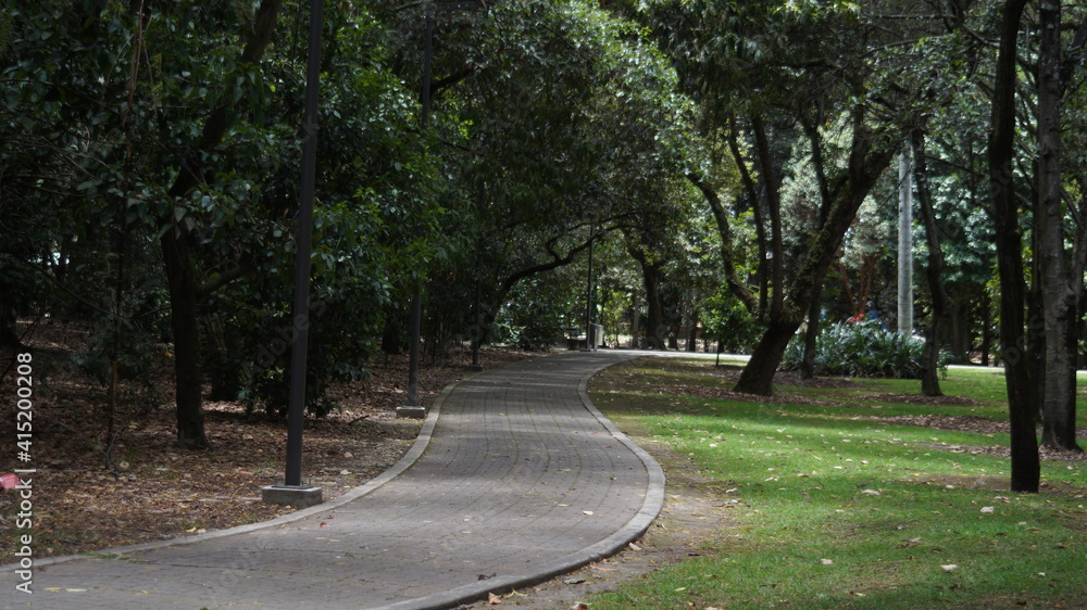 road in the park road in the park