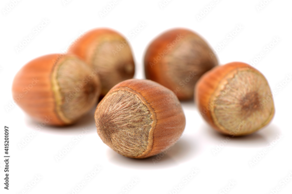 hazelnuts isolated on white hazelnuts isolated on white