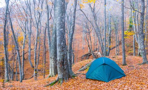 blue tourstic tent stay on a forest glade covered by a dry leaves, travel sport background