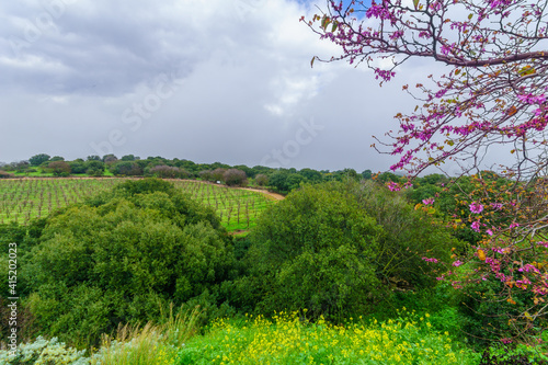 Fotografie View of countryside from the Yiftakh observation point