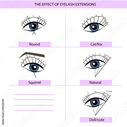 Eyelash Extension Guide. Direction schemes. Tips and tricks for eyelash extension. Infographic vector illustration