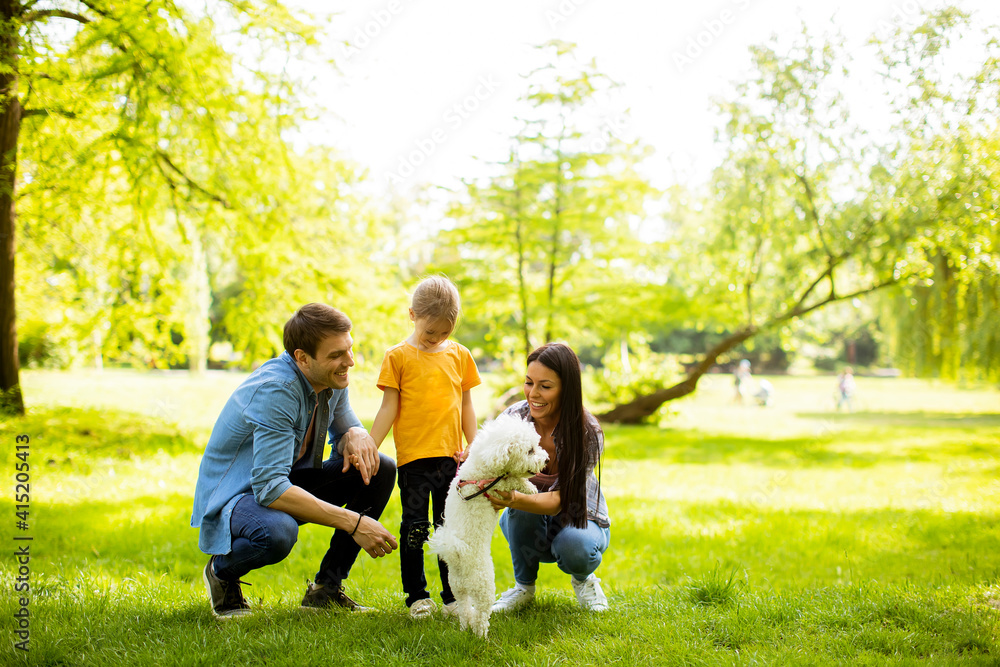 Beautiful happy family is having fun with bichon dog outdoors Beautiful happy family is having fun with bichon dog outdoors