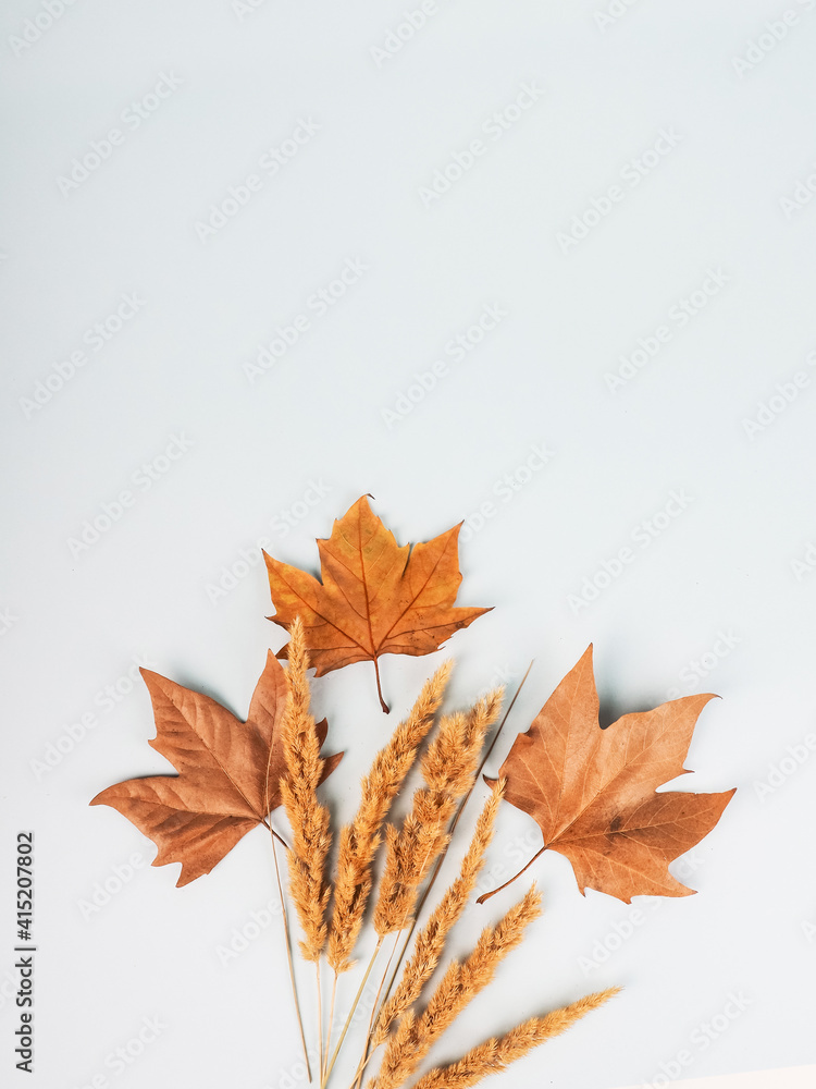 Composition of dry leaves and branches, pampas grass top view, natural minimalism, hugue style Composition of dry leaves and branches, pampas grass top view, natural minimalism, hugue style
