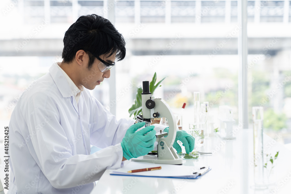 Scientists tests of plants in laboratory. Asian male scientists doing analysis for germs and bacteria with microscope in the laboratory. Scientific experiment. researcher and discovery concept Scientists tests of plants in laboratory. Asian male scientists doing analysis for germs and bacteria with microscope in the laboratory. Scientific experiment. researcher and discovery concept