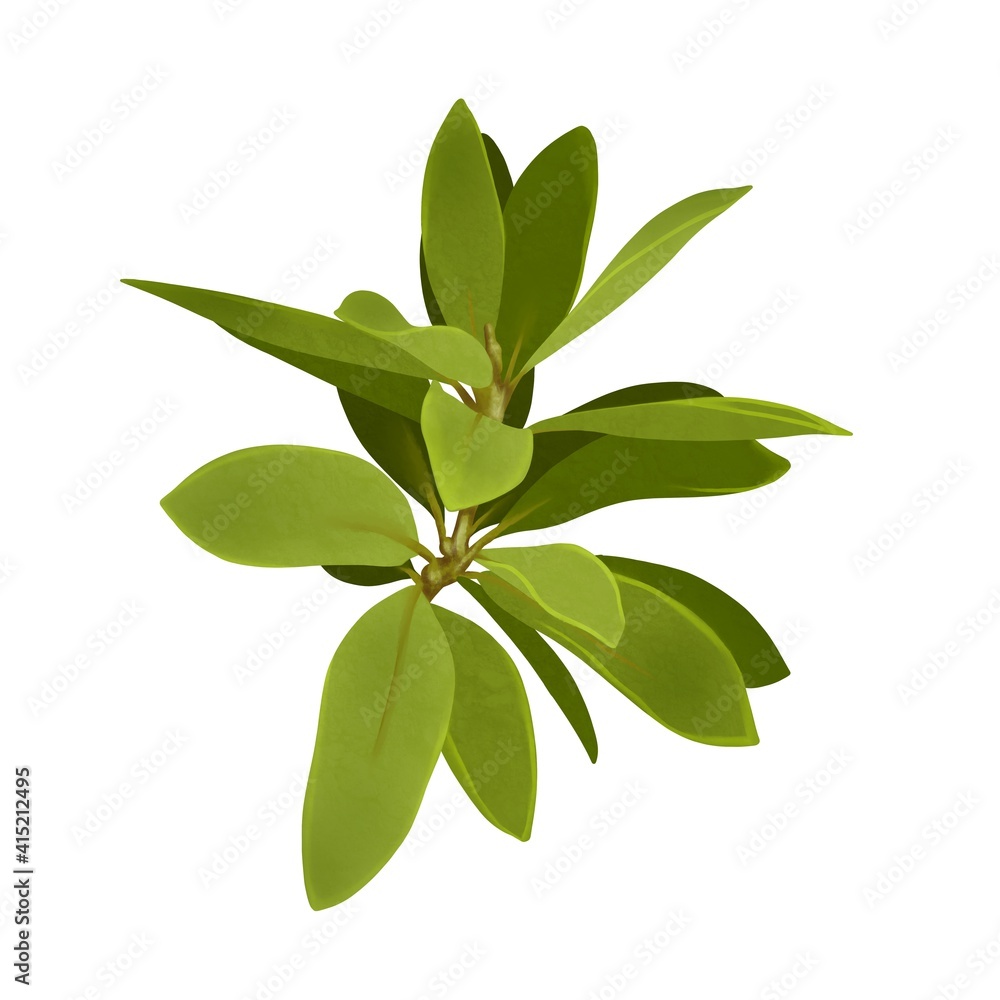 鮮やかな黄緑色のドングリの木の枝 線画なし 鮮やかな黄緑色のドングリの木の枝 線画なし