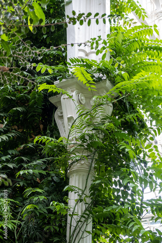 ornamental white steel column obscured by fresh green foliage